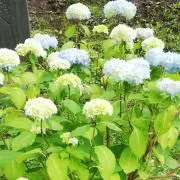 mar.co  ☘︎ 断捨離中の画像