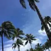 ともも