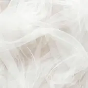 nの画像