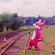 ぴょんきち
