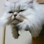 もこみる★プロフ必読