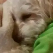 まなぶん　プロフ必読(^_^)の画像