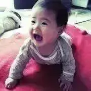ハイジの画像