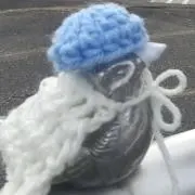 にゃにゃこんの画像