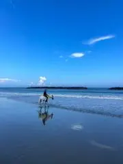 *rukka*プロフ必読の画像
