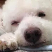 かんちゃん