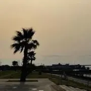 Image of Shiorin