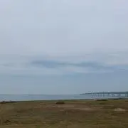 takaの画像