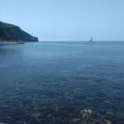まるとらころの画像