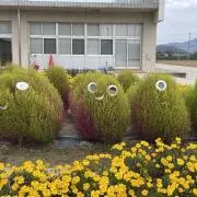 ☆田舎の主婦☆の画像