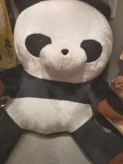 さら✿⁠の画像