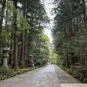 ミッフィの画像