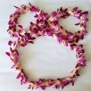 yucocoの画像