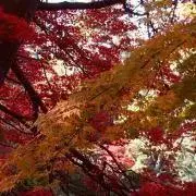 Sn☆!の画像