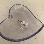 rikumamaの画像