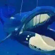 H（無言取引希望・挨拶不要です）の画像