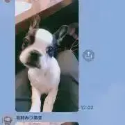 Maisonメゾン   春夏セール中の画像