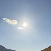 がじゅまるの画像