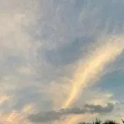 ʕ•ᴥ•ʔ