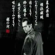 ♛横浜銀蝿♛