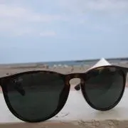 レオの画像