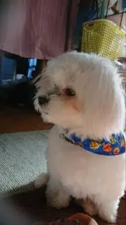 くぅ