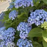 kmkmの画像