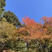 さの画像