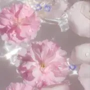 桜海★断捨離中ですの画像