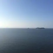 miiの画像