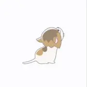 viの画像