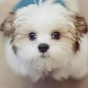 ナオくん