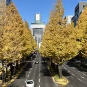 爛爛の画像