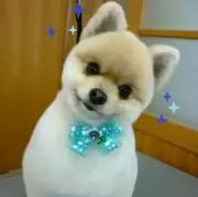 Kちゃんの画像