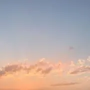 タケの画像