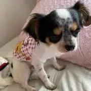 I  (プロフィール必読)の画像