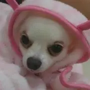 とも