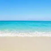 もぐりんの画像