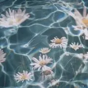 ぱ  す  ⭐