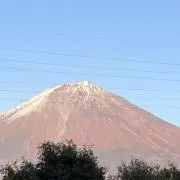 えぬの画像