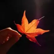 なつ