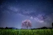 n✳プロフ必読/価格依頼スルーの画像