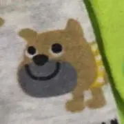 みんみんの画像