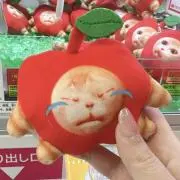 ふらぺちぺちの画像