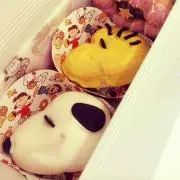 そいはる