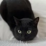 haha※プロフィール必読m(_ _)mの画像