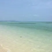 Sarahさんの画像