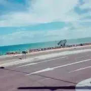 ぎの画像
