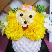 三毛猫ちびchanの画像