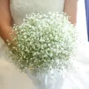 あやの画像